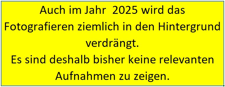 Jahr 2025