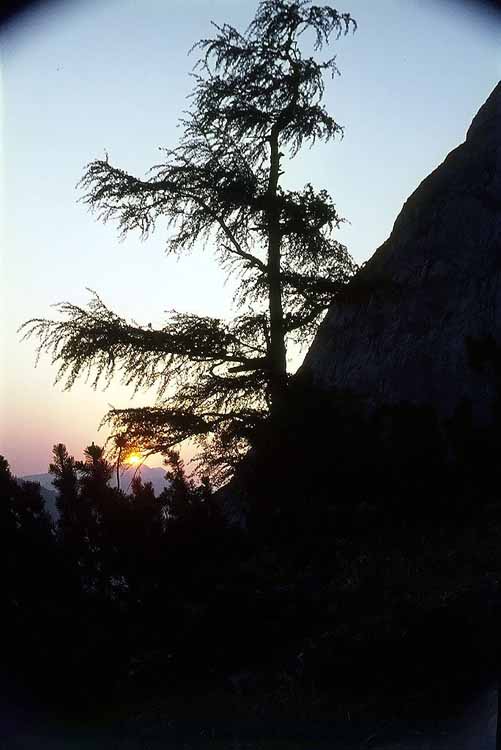 Regalpscharte am 22.06.1970