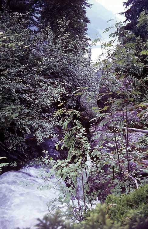 Wildkarspitze am 12.07.1970