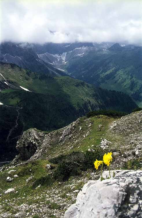 Hahnkamplspitze am 25.06.1972