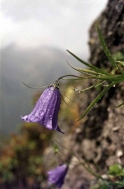 Marchkopf am 25.08.1973