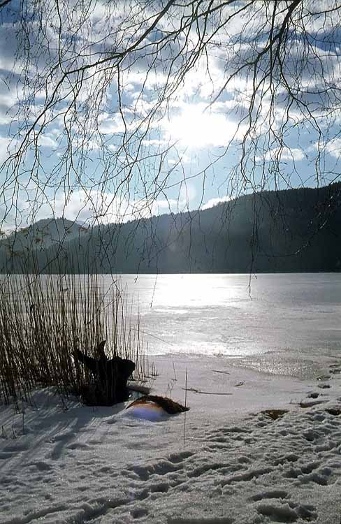 Tannheim am 04.02.1979