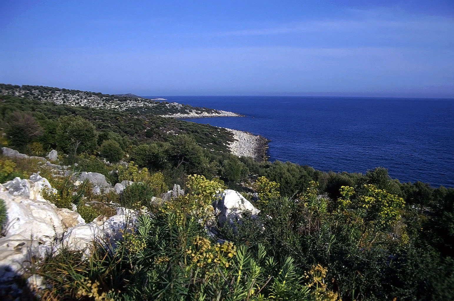 20.04.1993 | Andriake | südl. Mittelmeerküste