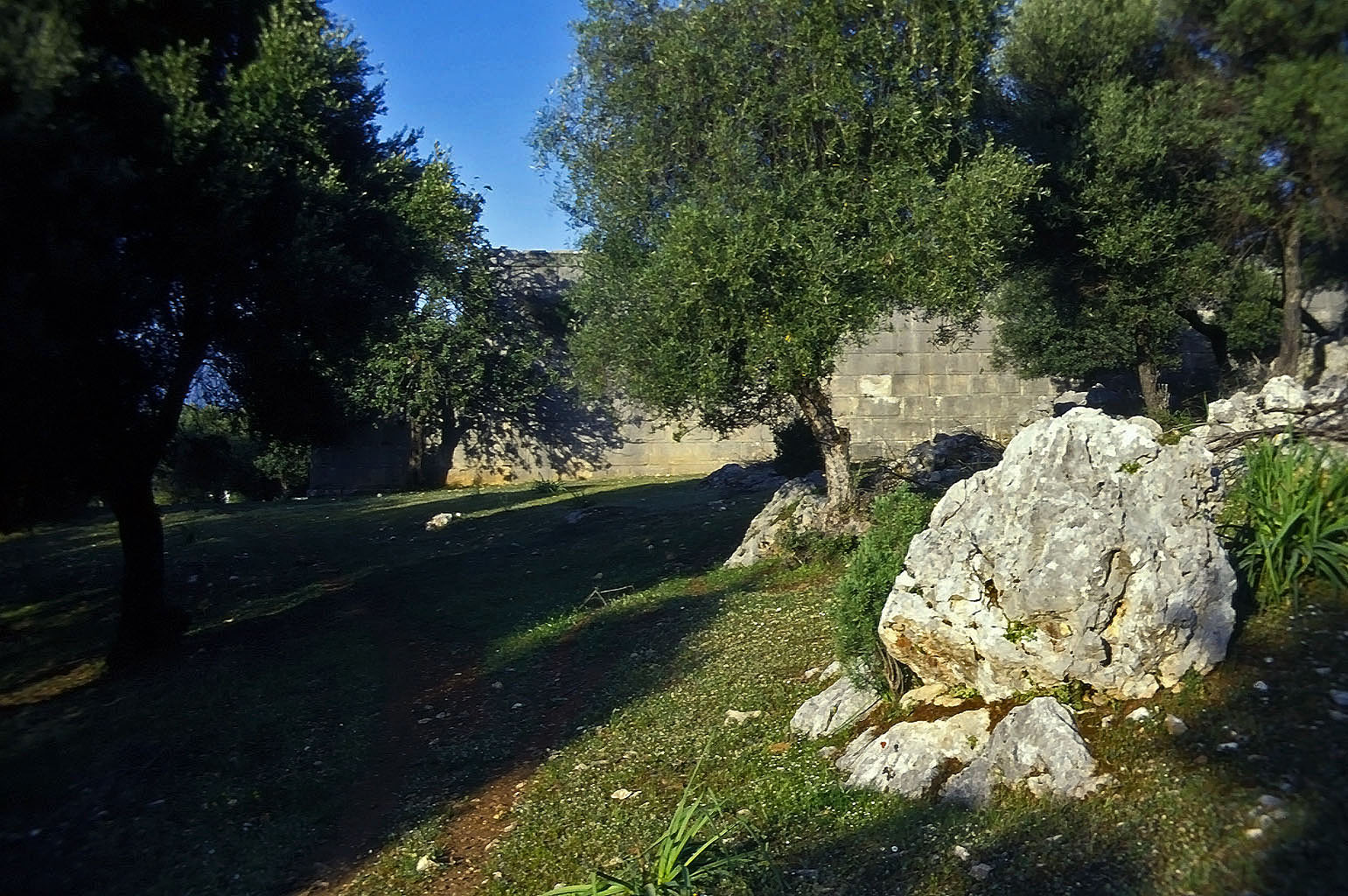 20.04.1993 | Granarium   | Seitenwand des Granariums