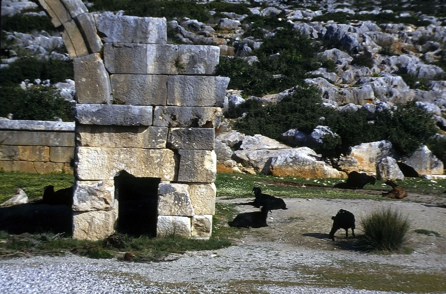 21.04.1993 | Andriake | Quellheiligtum am Fluß