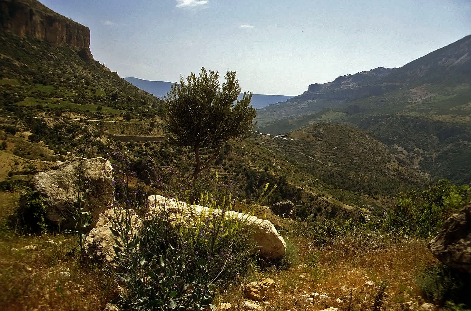 30.04.1993 | Göksu Tal | Landschaftsbild des Göksu-Tals