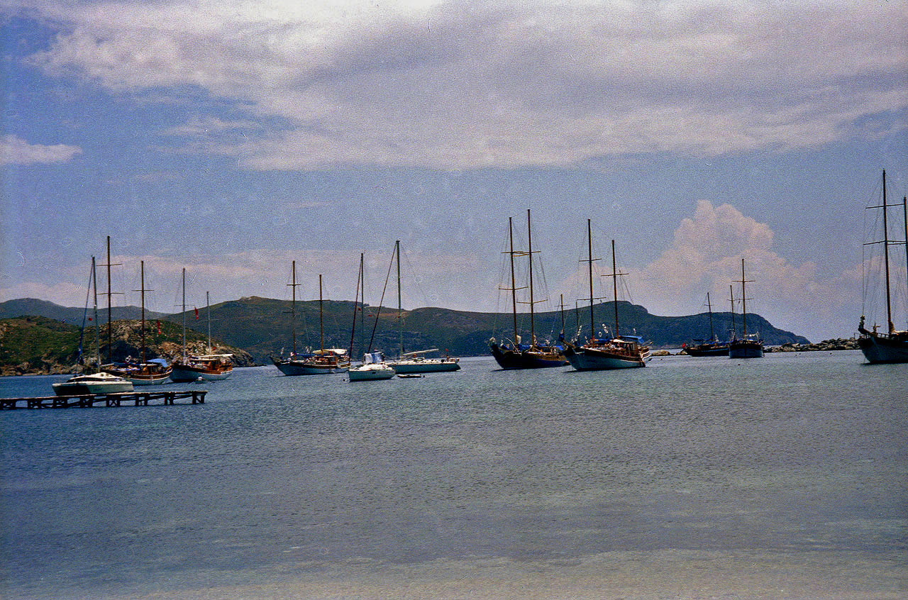 30.05.1996 | Handelshafen | Schiffsflotte im Hafen
