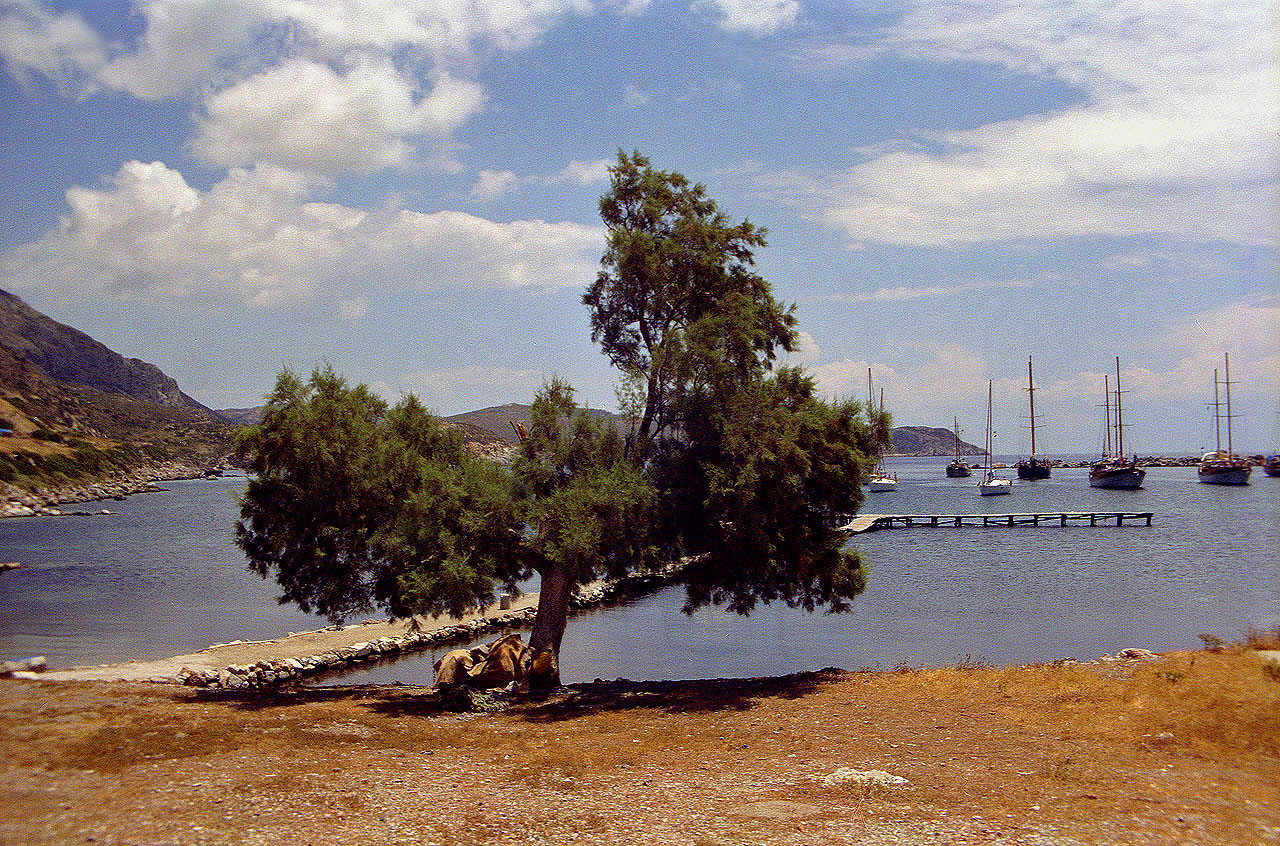 30.05.1996 | Handelshafen | Bootsanleger und Boote
