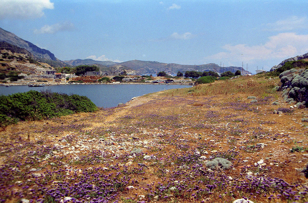 30.05.1996 | Kriegshafen | es blüht überm Kriegshafen