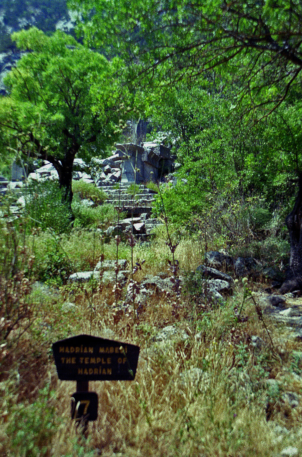 11.08.1991 | Marmortor | Hadrianstempel