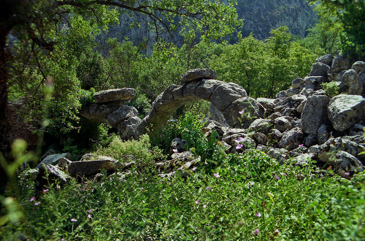 11.08.1991 | Königsstrasse   | Felsbögen im Gestrüpp