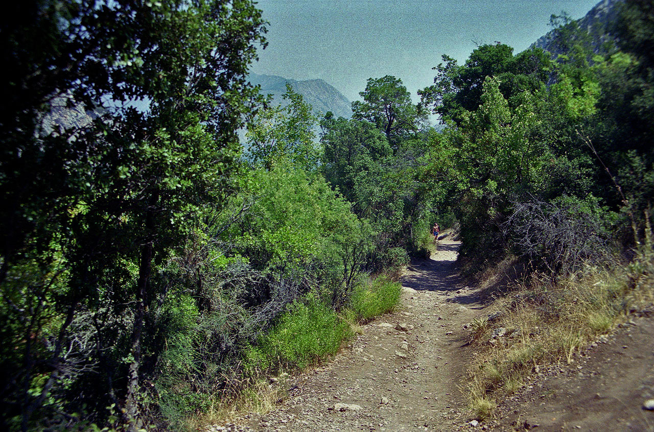 11.08.1991 | Königsstrasse   | Aufstiegsweg auf der Königsstrasse