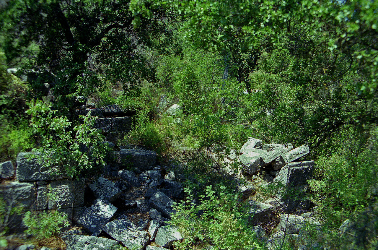 11.08.1991 | Gymnasium | Mauerwerk im Gestrüpp