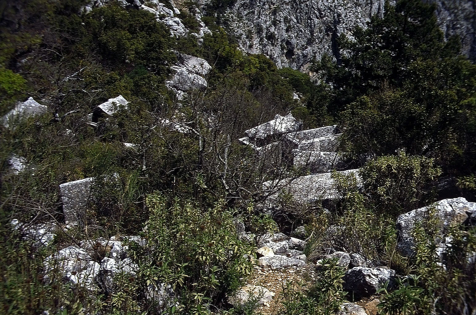 01.05.1993 | Nekropole | Chaos mehrerer Sarkophage hinterm Theater