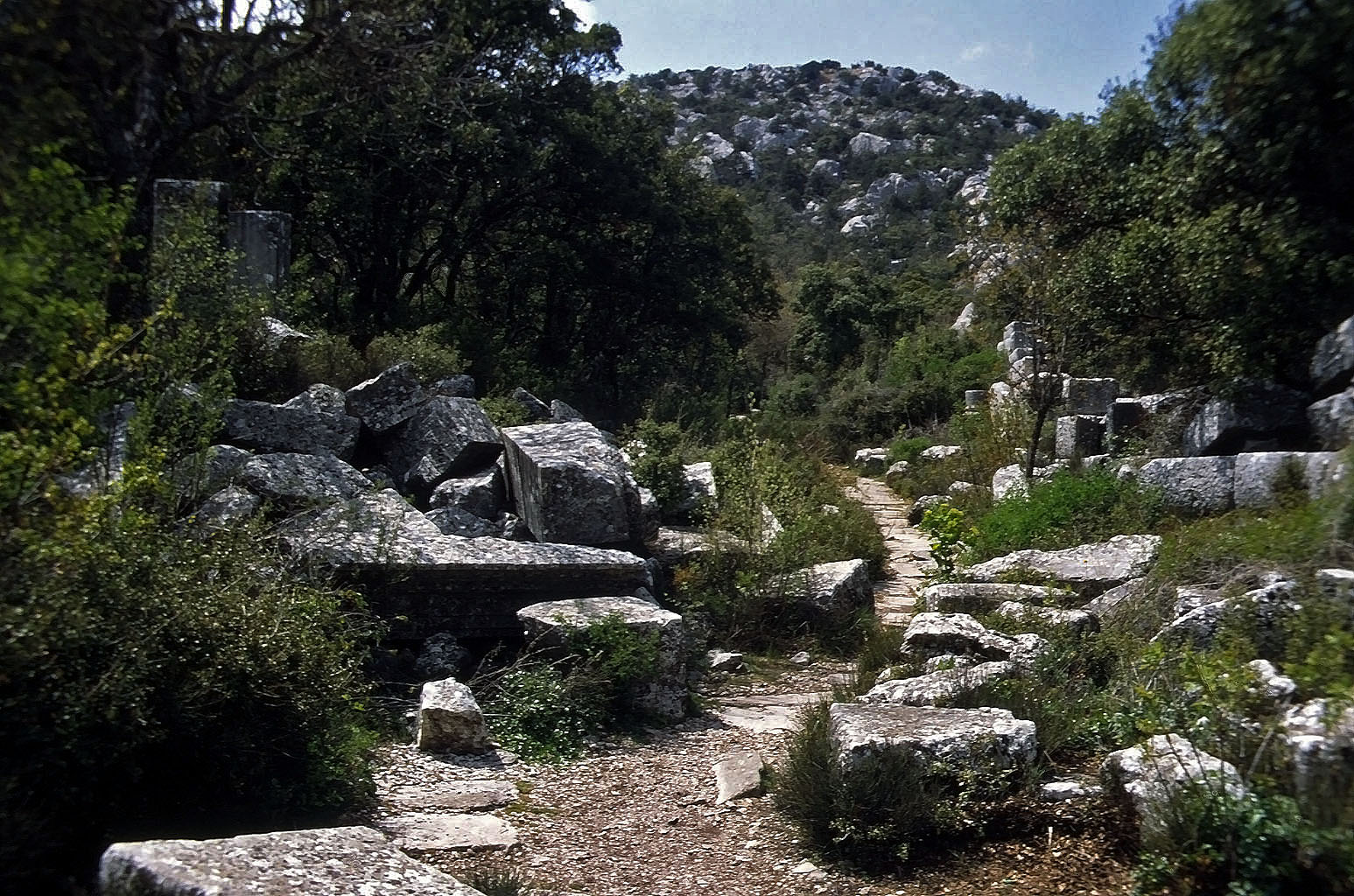 01.05.1993 | Agora | Weg zwischen vielen Ruinen