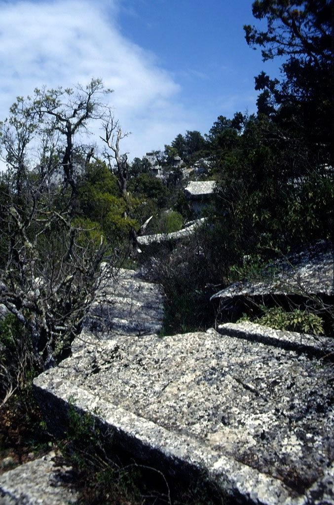 01.05.1993 | Theater  | Chaos in Nekropole hinterm Theater