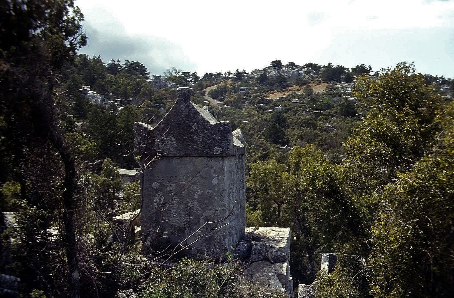 01.05.1993 | Nekropole | Sarkophage im Wald