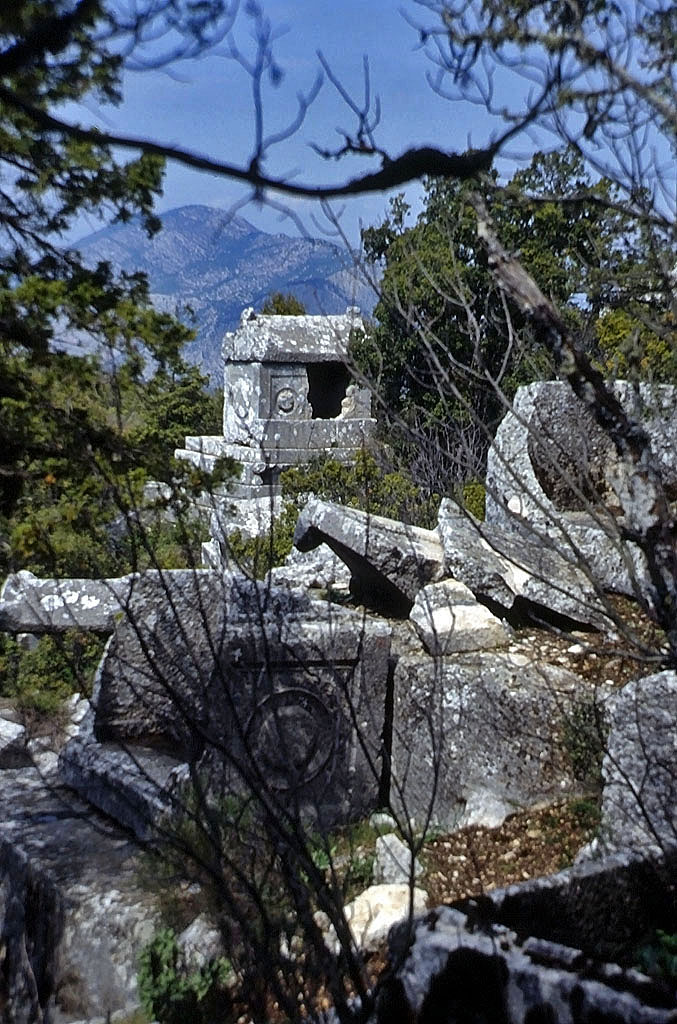 01.05.1993 | Nekropole | Sarkophage im Gehölz