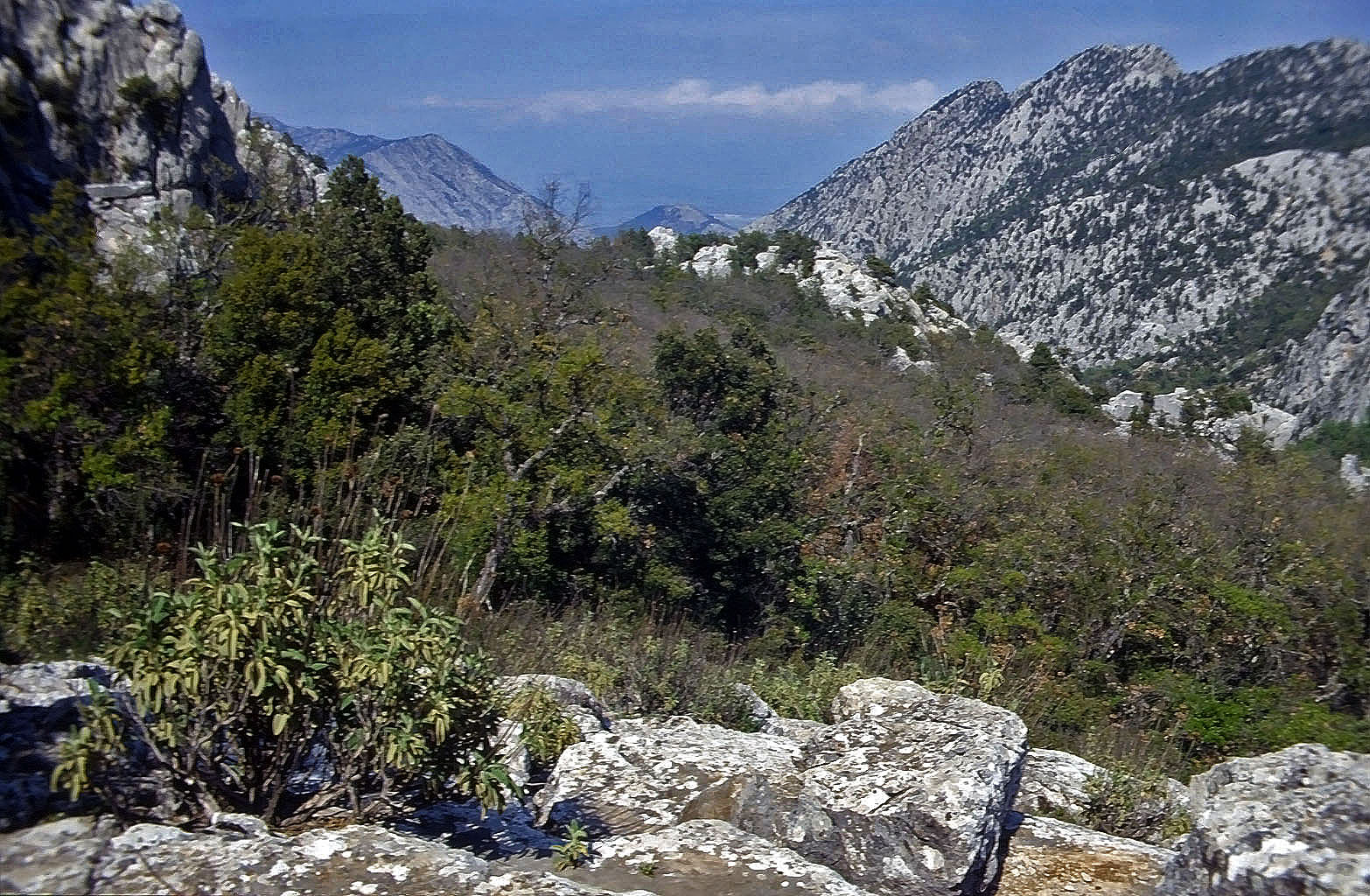 01.05.1993 | Nekropole | Blick hinaus nach Norden
