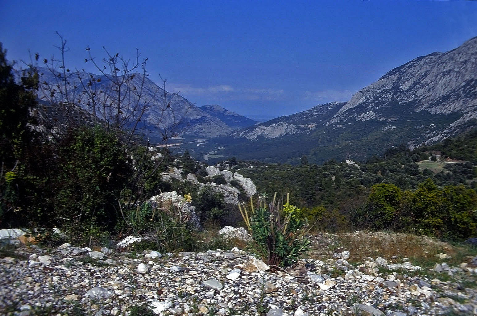 01.05.1993 | Königsstrasse   | Blick hinab zum Parkplatz und hinaus nach Nordosten