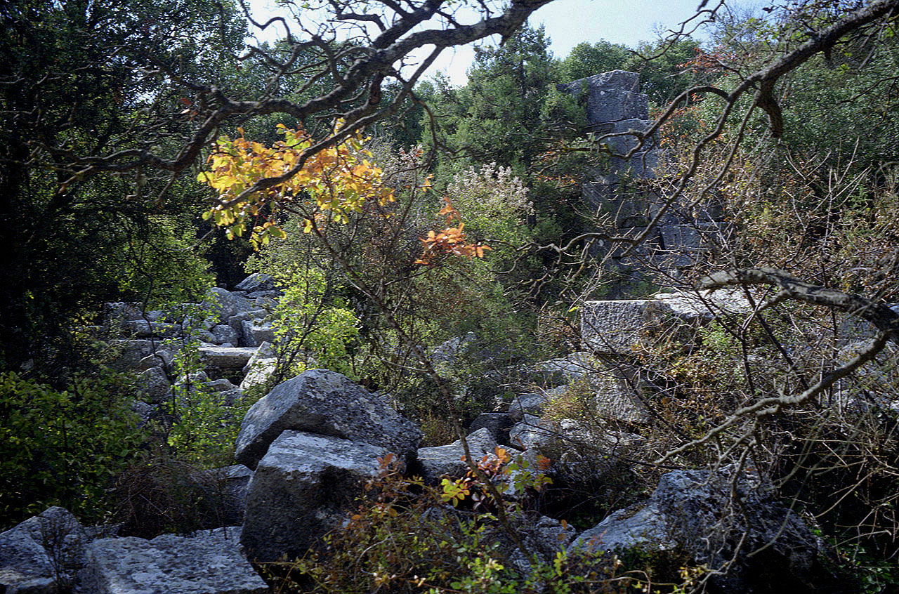 06.11.1994 | Theater   | ziemliches Chaos im Gestrüpp unterm Theater