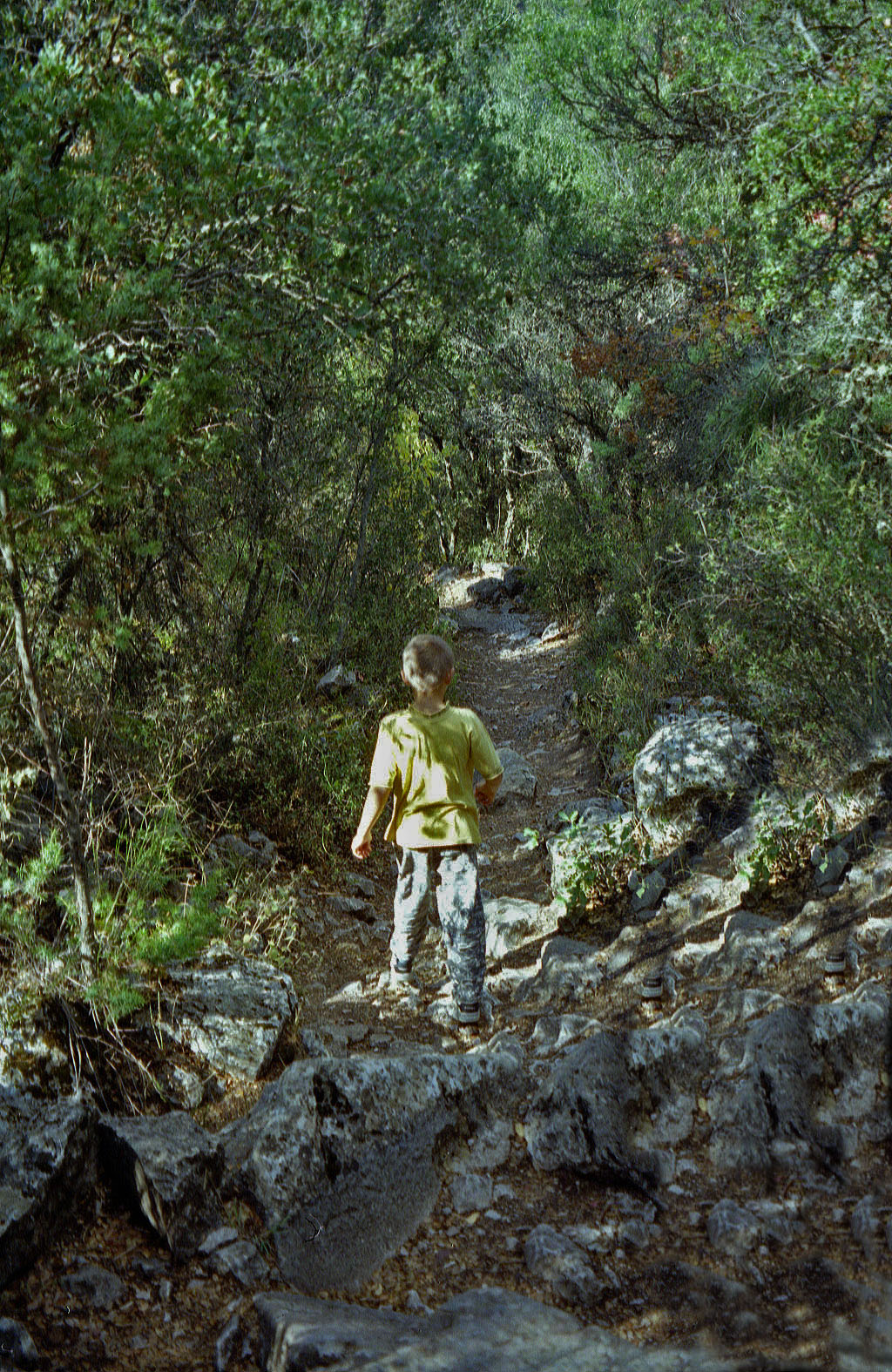 06.11.1994 | Königsstrasse   | im oberen Teil des Wegs
