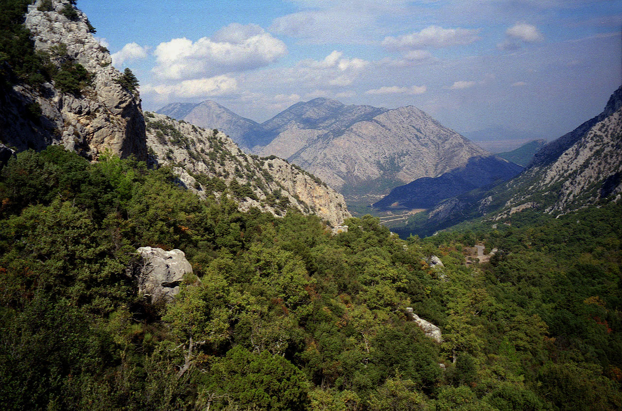 06.11.1994 | Königsstrasse   | Blick hinab zum Parkplatz und hinaus nach Nordosten